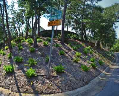 pGg3O7uQSZyaGbSMmUfm.:  