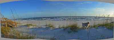 gothic+house_02.jpg:  