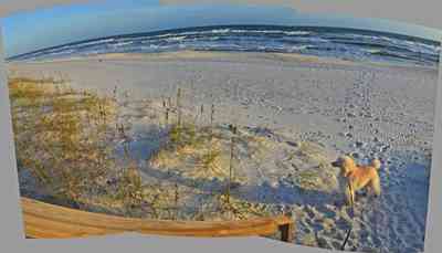 gothic+house_11.jpg:  