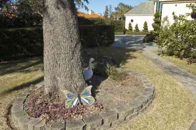 gulf+breeze-peake_27_s+point-couch+dreams-peake_27_s+point-front+garden+reverse.jpg:  