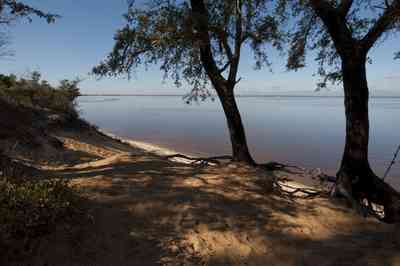 12-31-09+gins-live+oaks+compound-butcherpin+cove+bluff_01.jpg:  