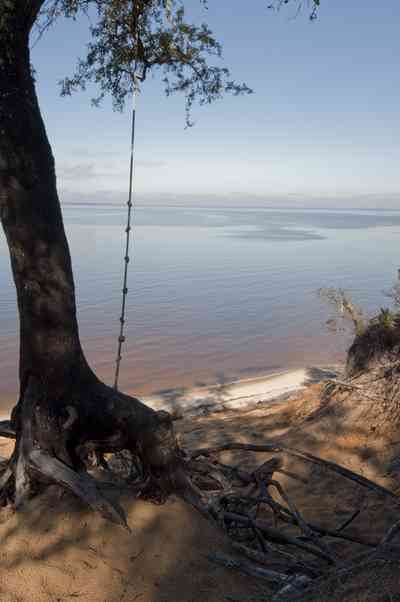 12-31-09+gins-live+oaks+compound-butcherpin+cove+bluff_03.jpg:  