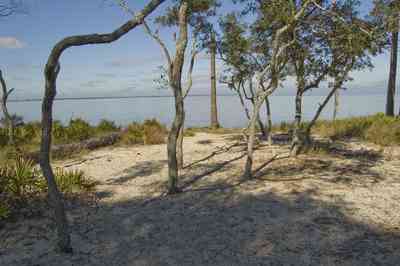 12-31-09+gins-live+oaks+compound_02.jpg:  