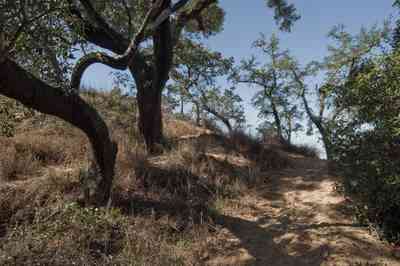 12-31-09+gins-naval+live+oaks-compound+butcherpin+cove+bluff_04.jpg:  