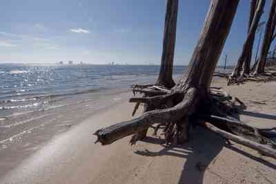 12-31-09+gins-naval+live+oaks-soundside+beach_02.jpg:  