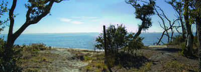 12-31-09+gins-naval+live+oaks-soundside+bluff_01.jpg:  