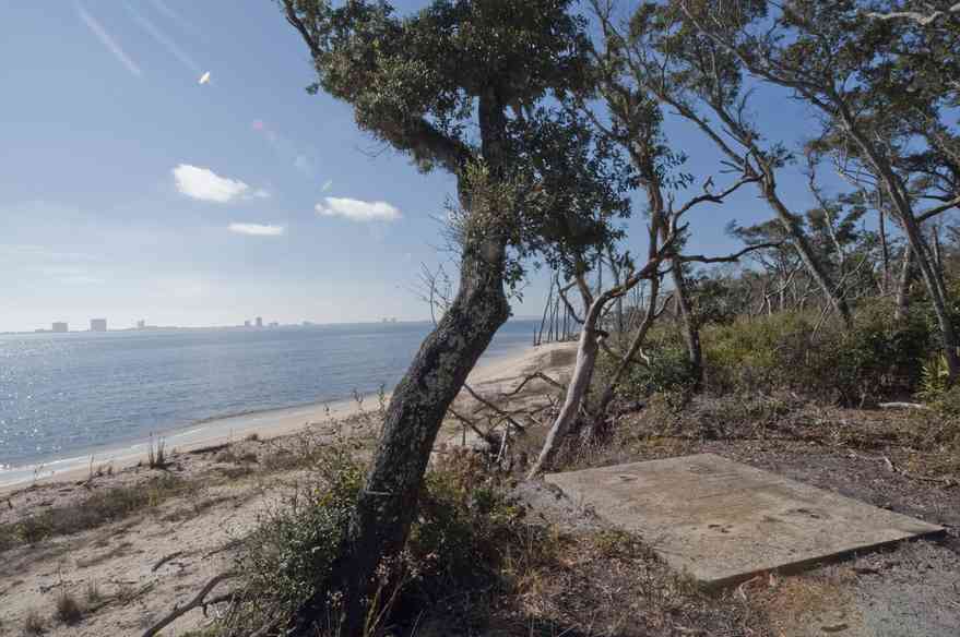 12-31-09+gins-naval+live+oaks-soundside+bluff_02.jpg:  