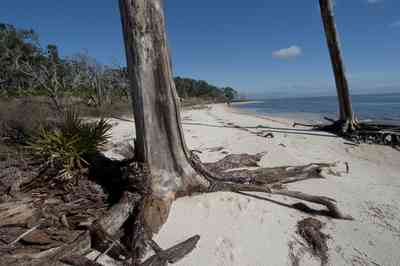 gins-naval+live+oaks-soundside+beach_01.jpg:  