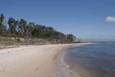 gins-naval+live+oaks-soundside+beach_04.jpg:  