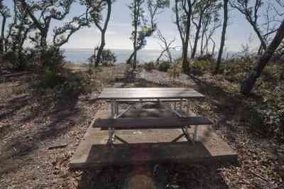 gins-naval+live+oaks-soundside+bluff+picnic+table_01.jpg:  