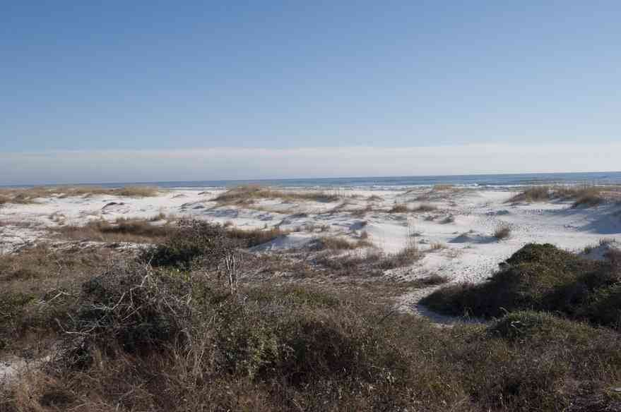 12-31-09+gins+battery+234-gulf+view_02.jpg:  