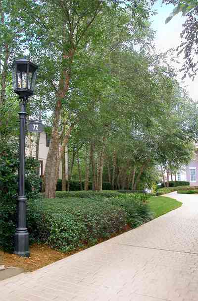 Gulf-Breeze:-72-Highpointe-Drive_00a.jpg:  gas lantern, birch trees, circular driveway, fountain, tiled driveway