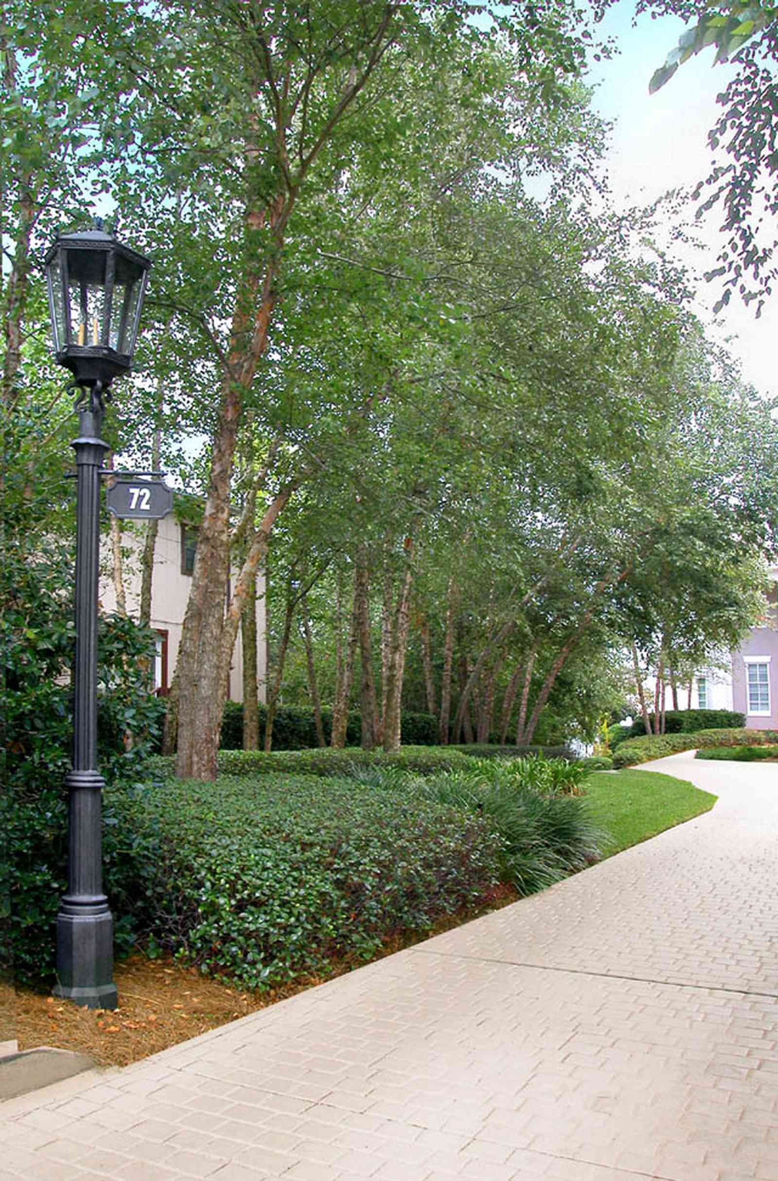 Gulf-Breeze:-72-Highpointe-Drive_00a.jpg:  gas lantern, birch trees, circular driveway, fountain, tiled driveway