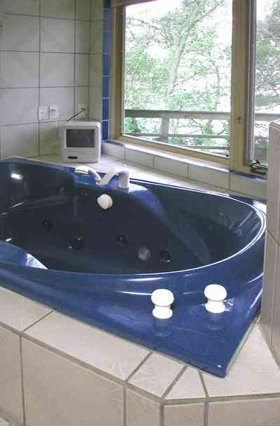 Gulf-Breeze:-92-High-Point-Drive_11.jpg Gulf-Breeze:-92-High-Point-Drive_11.jpg: bayview bathroom, blue bathtub, jacuzzi bathtub,