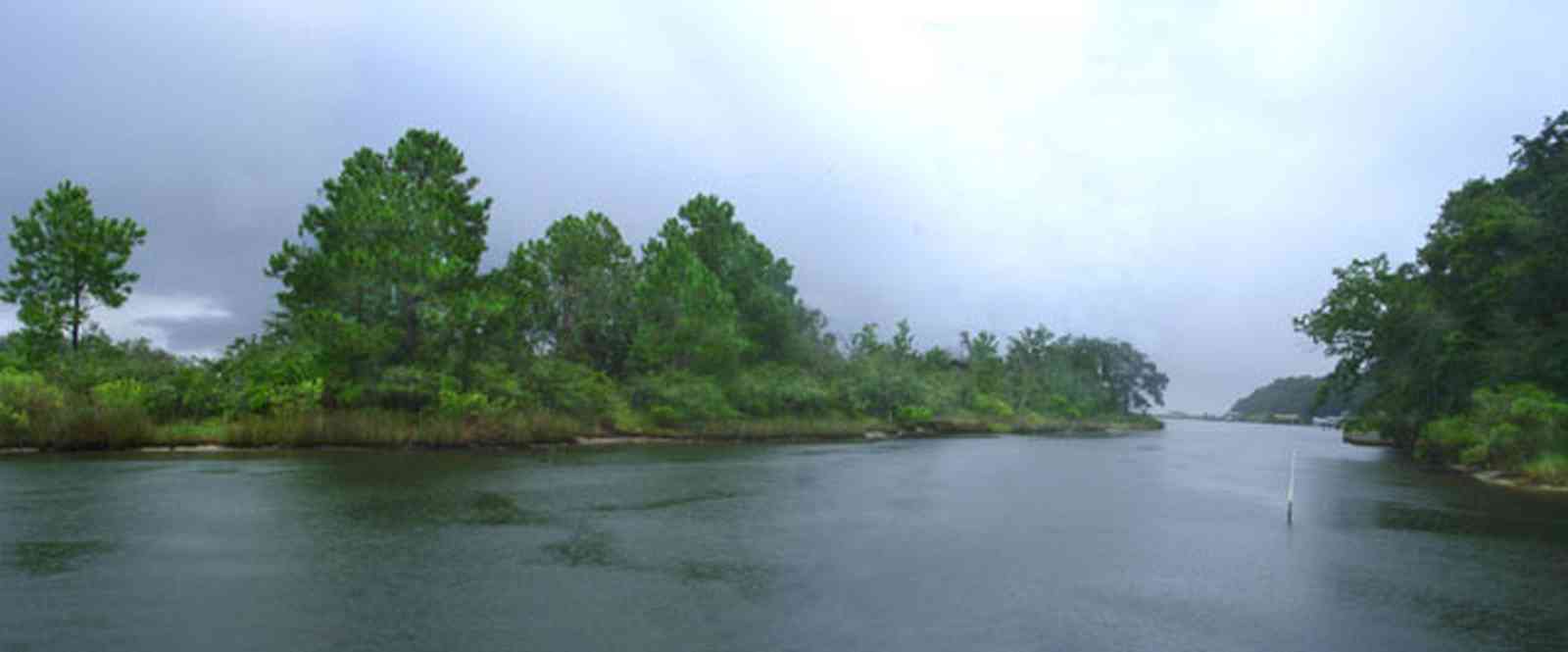 Gulf-Breeze:-Navy-Cove-House_11.jpg:  escambia bay, gulf coast, dead mans island, gulf breeze, palm tree, river, pine trees