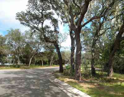 Gulf-Breeze:-Peakes-Point_03.jpg:  winding road, bayshore, development, oak trees, subdivision,  pensacola bay