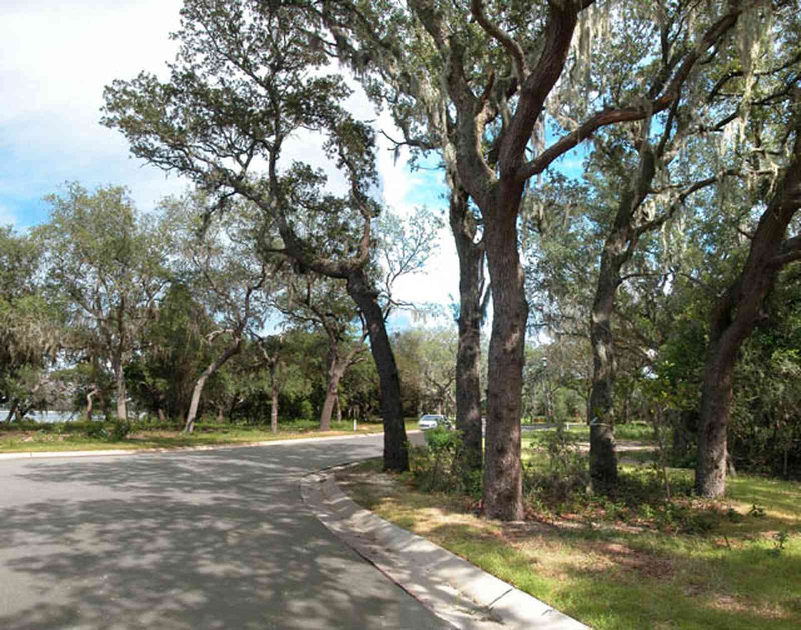 Gulf-Breeze:-Peakes-Point_03.jpg:  winding road, bayshore, development, oak trees, subdivision,  pensacola bay