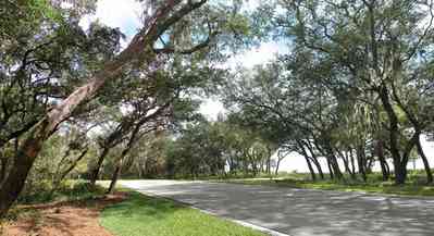 Gulf-Breeze:-Peakes-Point_05.jpg:  winding road, bayshore, development, oak trees, pensacola bay