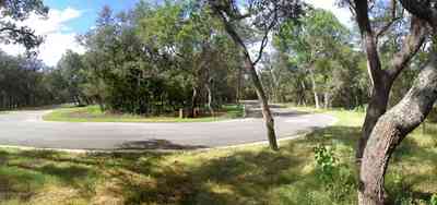 Gulf-Breeze:-Peakes-Point_07.jpg:  winding road, bayshore, development, oak trees, pensacola bay