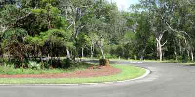 Gulf-Breeze:-Peakes-Point_08.jpg:  winding road, bayshore, development, oak trees, pensacola bay