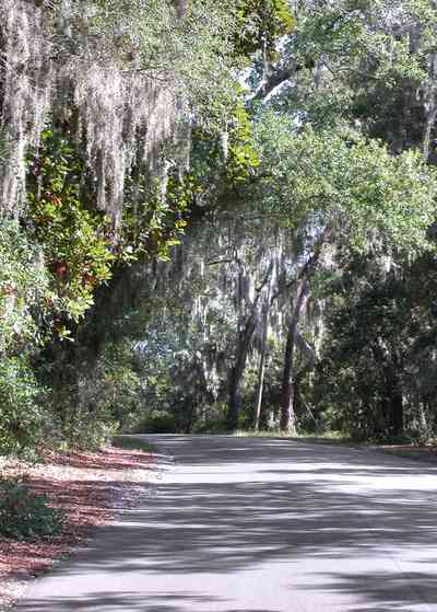 Gulf-Breeze:-Shoreline-Park-South_03.jpg:  spanish moss, oak trees, park, country road, two-lane road, 