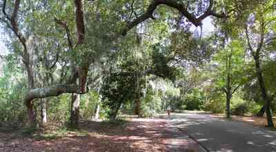 Gulf-Breeze:-Shoreline-Park-South_05.jpg:  spanish moss, oak trees, park, country road, two-lane road