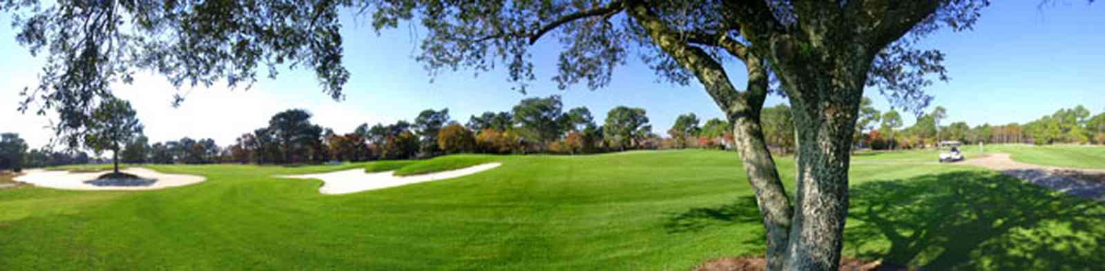 Gulf-Breeze:-Tiger-Point-Golf-Club_06.jpg:  golf course, fairway, oak tree, sand trap