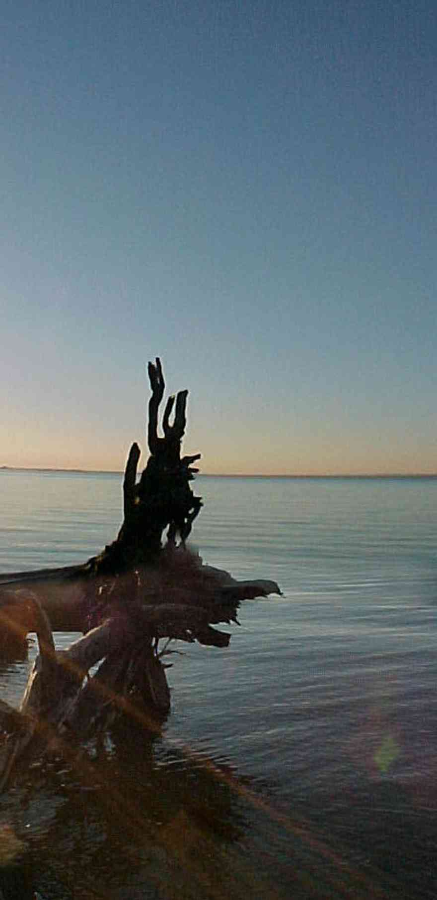 Gulf-Islands-National-Seashore:-Butcherpin-Cove_01.jpg:  golf course, green, pine trees, santa rosa sound, golfer, caddie