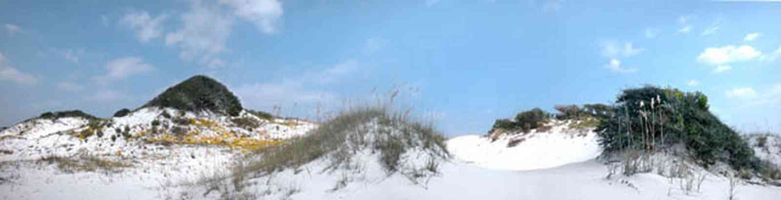 Gulf-Islands-National-Seashore:-Dunes:-Parking-Lot-9_01.jpg:  dunes, sea oats, oak trees, wind blown, wildflowers, scudding clouds, weather front, sand dunes, ground cover, white sand, crystal sand, 