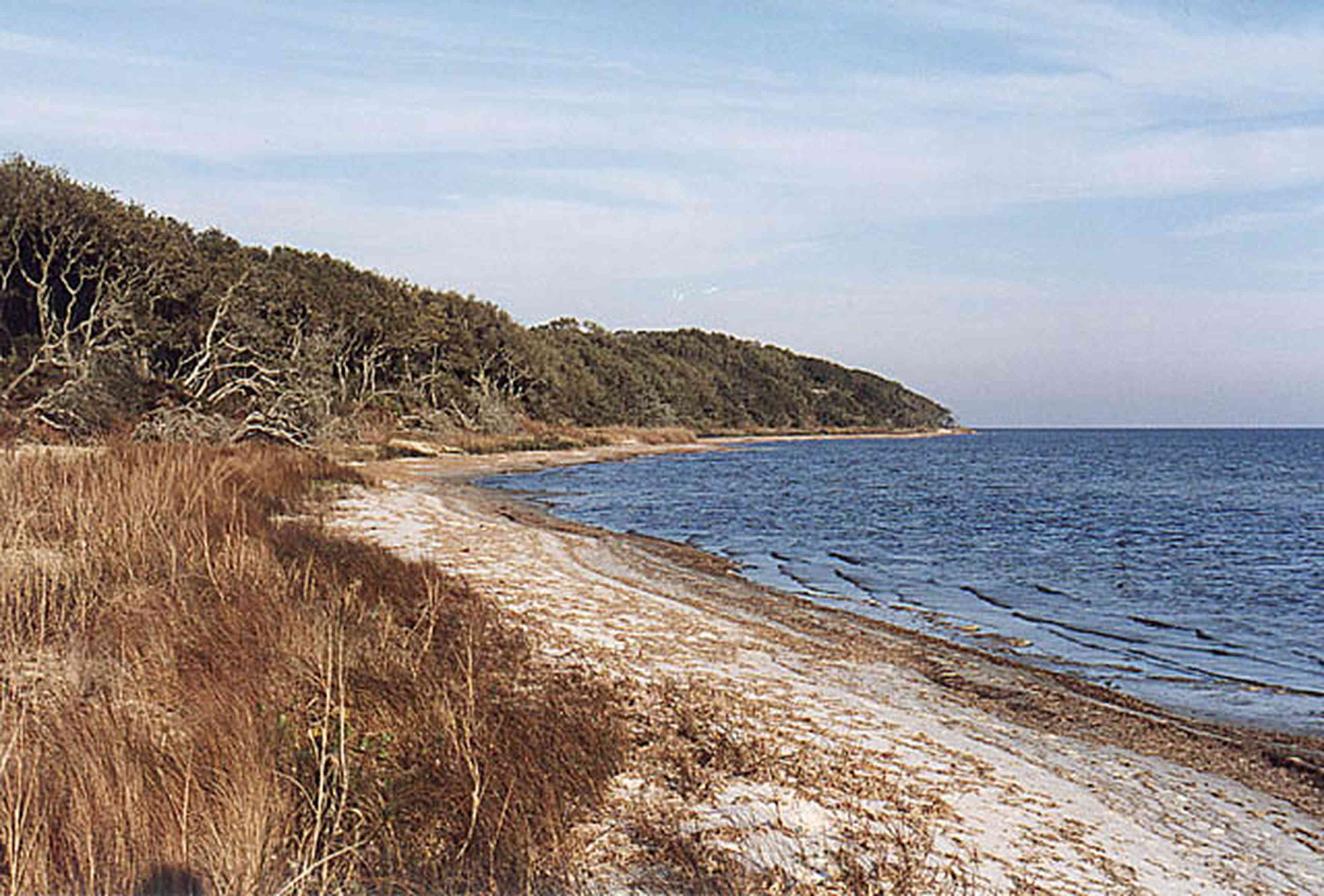 Gulf-Islands-National-Seashore:-East-Bay_01.jpg:  gulf of mexico, gulf coast, escambia bay, seashore, oak trees, shoreline, sand beach, naval live oaks, 