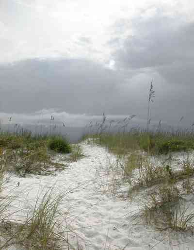Gulf-Islands-National-Seashore:-Fort-Pickens:-Battery-234_01.jpg:  barrier island, dunes, cumulus clouds, storm, sea oats, crystal sand, dunes