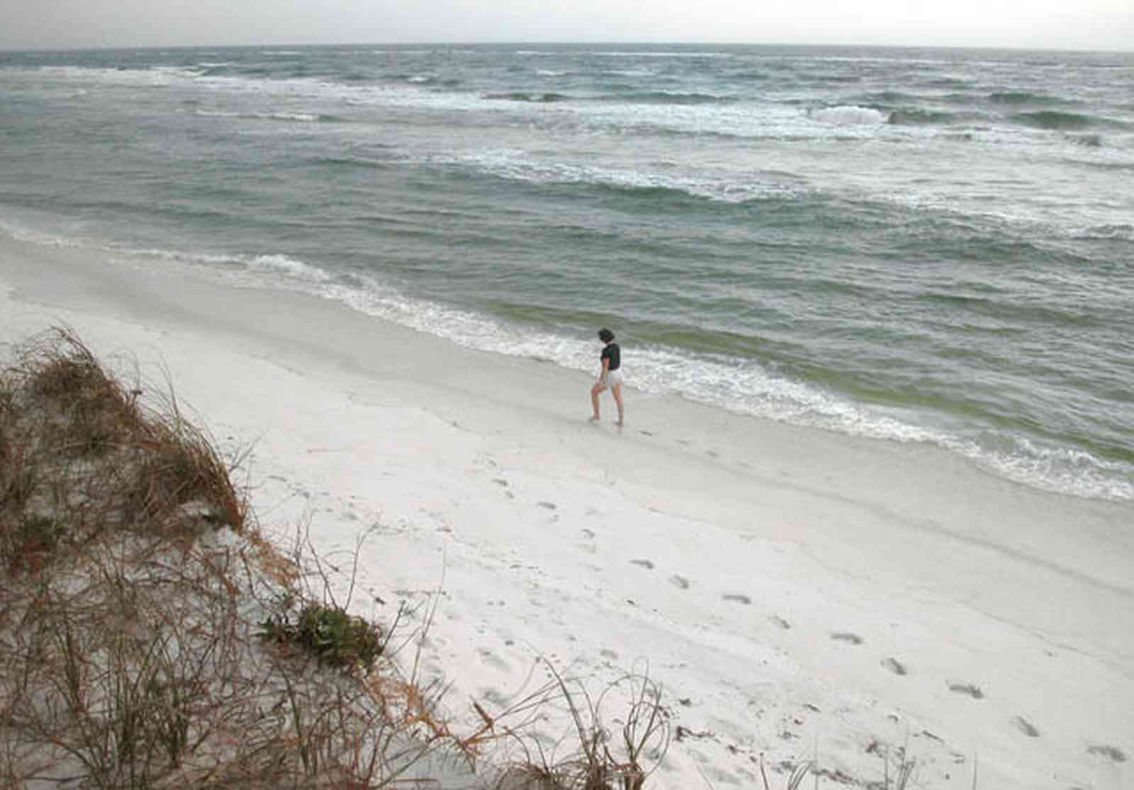 Gulf-Islands-National-Seashore:-Fort-Pickens:-Dunes_10.jpg:  dune, waves, surf, island, sea oats, beach, santa rosa island, fort pickens, 