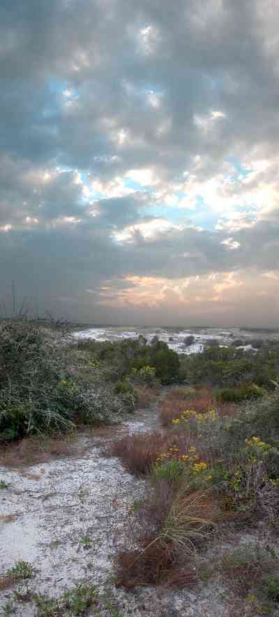 Gulf-Islands-National-Seashore:-Fort-Pickens:-Dunes_14.jpg:  sand, dunes, cacti, sunset, beach, santa rosa island