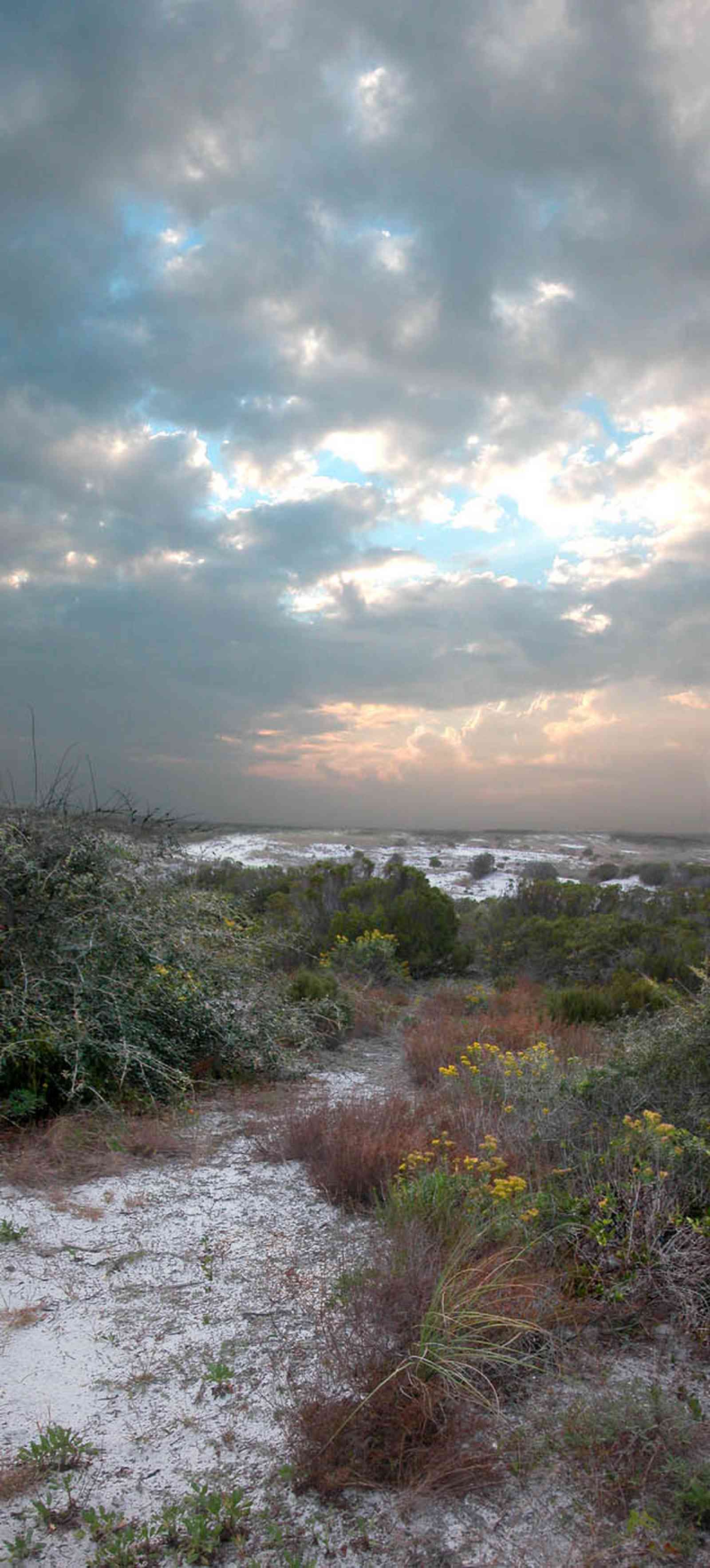 Gulf-Islands-National-Seashore:-Fort-Pickens:-Dunes_14.jpg:  sand, dunes, cacti, sunset, beach, santa rosa island