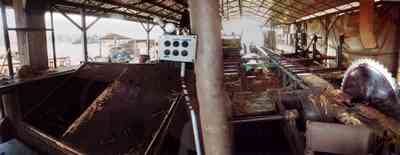 Harold:-Wilson-Lumber-Mill_12.jpg:  cutting shed, planing, saw, mill