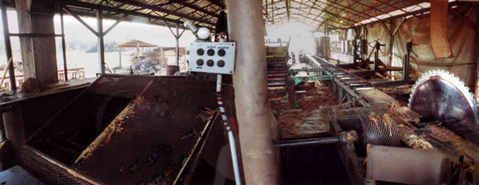 Harold:-Wilson-Lumber-Mill_12.jpg:  cutting shed, planing, saw, mill