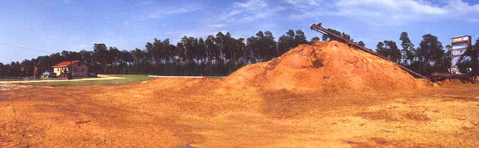 Harold:-Wilson-Lumber-Mill_13.jpg:  sawdust pile, conveyor belt, mill, sawmill, cyprus lumber, 