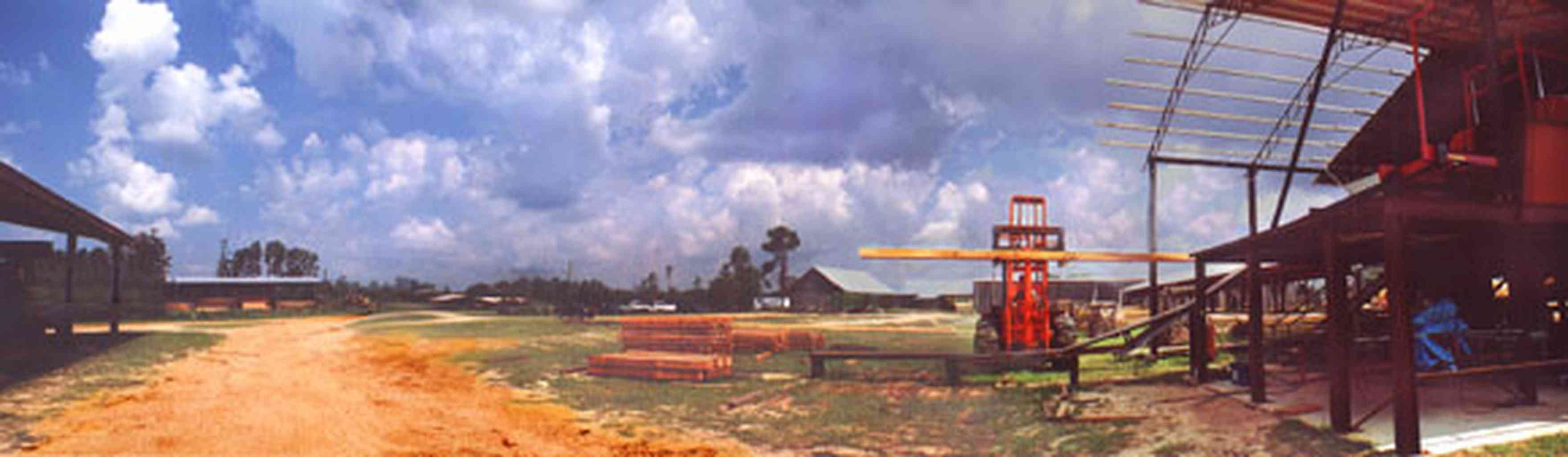 Harold:-Wilson-Lumber-Mill_8.jpg:  sawmill, drying shed, cyprus lumber