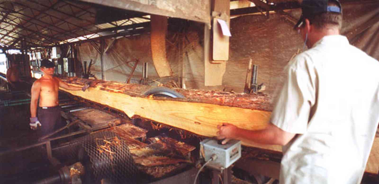 Harold:-Wilson-Lumber-Mill_9.jpg:  sawmill, planed lumber, cyprus planks