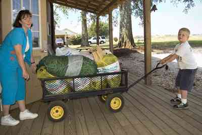 06_07+Holland+Farm_02+WEB.jpg:  wagon, barn, farm produce, 
