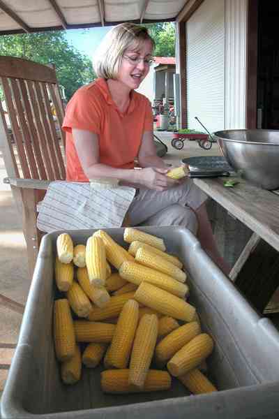 Hollandtown:-Holland-Farm:-Corn-Harvest_01.jpg Hollandtown:-Holland-Farm:-Corn-Harvest_01.jpg: corn cob, shuck corn, farmers wife, red wagon, barn, rocking chair