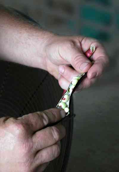 Hollandtown:-Holland-Farm:-Pea-Patch_01.jpg:  pod, pea, cow pea, vigna unguiculata  , 