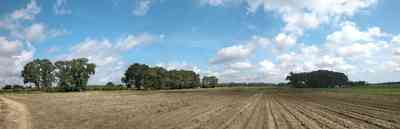Hollandtown:-Holland-Farm:-South-Field_02.jpg:  field, cultivation, farm, farmer, rows, crops, oak trees, sweet gum tree