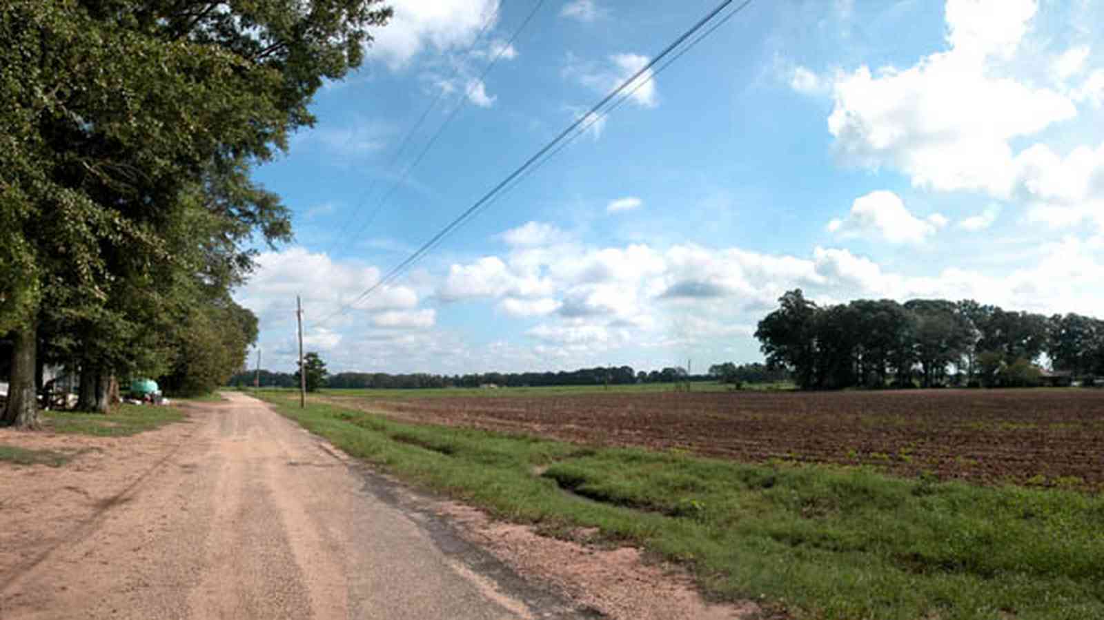 Hollandtown:-Holland-Farm:-South-Field_03.jpg:  country road, dirt road, tilled field, crop, pumpkin patch. oak trees, sweet gun tree, telephone line