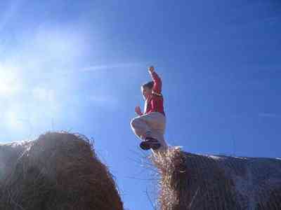 Leaning-Post-Ranch_15.jpg:  horses, ranch, farm, barn