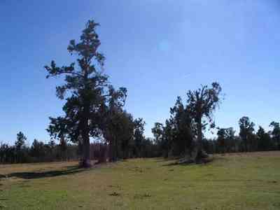 Leaning-Post-Ranch_23.jpg:  horses, ranch, farm, barn