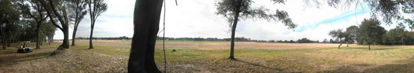 Lillian:-Lost-Bay-Horse-Farm_01.jpg:  live oak tree, pasture, paddock, farm, horse farm, riding horses