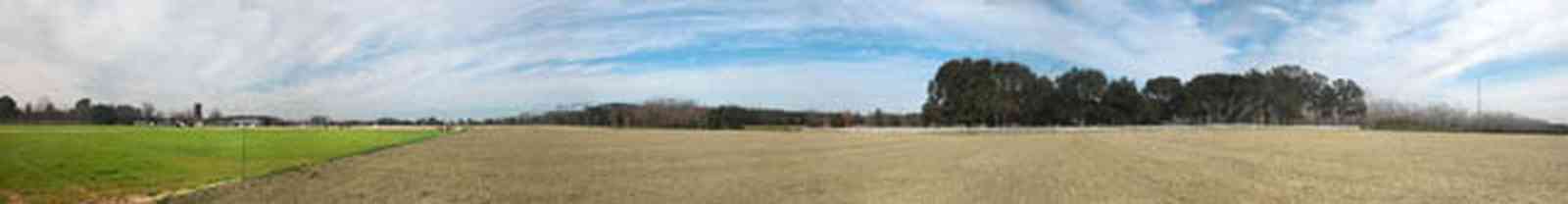 Lillian:-Lost-Bay-Horse-Farm_02.jpg:  live oak tree, pasture, paddock, farm, horse farm, riding horses