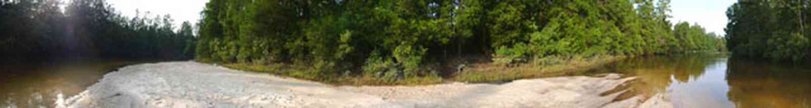 Milton:-Adventures-Unlimited_01a.jpg:  coldwater river, sand bar, canoeing, swamp