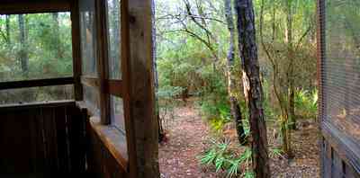 Milton:-Adventures-Unlimited_11.jpg:  screen porch, palmetto palm, forest, cabin, bunkhouse